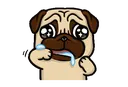 PuggieDroolingPug