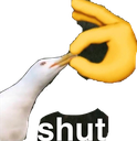 shut