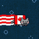 aNyanCatCanada Discord Emoji