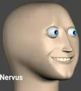 Nervus