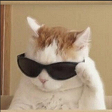 cat_Hi_Ago Discord emoji