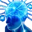 bigbrain