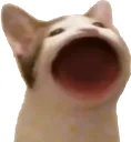 OMEGALUL2 OMEGALUL2