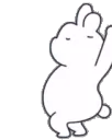 Jmirusbunnyfatdance Jmirusbunnyfatdance