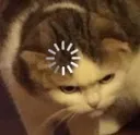 CattoLoading Discord Emoji