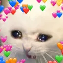 fet_rainbowheartsadcat fet_rainbowheartsadcat
