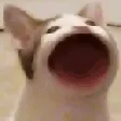 blopblop