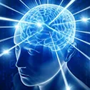 brain
