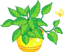 hRandomPlant hRandomPlant