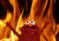 ElmoFire ElmoFire