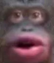 uhohstinky