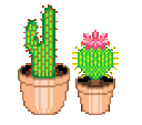 SmolCacti