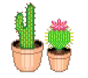 SmolCacti