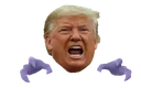 trumphaunter
