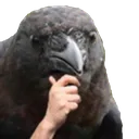 wc_crowThink Discord Emoji