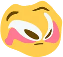 flsushehd