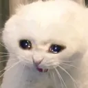 crying_cat1