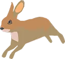 Rabbit Rabbit