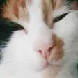 uwu