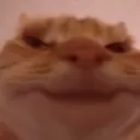 howiemad howiemad