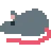 rat_baba