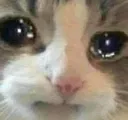 Cry Cry
