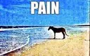 Pain