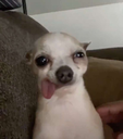 emoji_23 Discord emoji