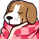 comfydog comfydog