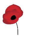 Poppy