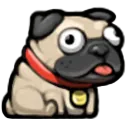 pug