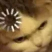CAT_Loading