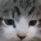 :b_mad_cute: :b_mad_cute: