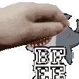 aBFEEPet