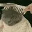 aacat_haircut
