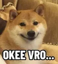 okee_vro