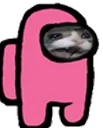 AmongUs_PinkSadCcat
