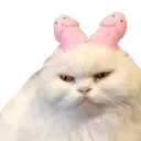 GatoConPito