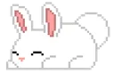 sleepbun