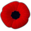 Poppy Poppy