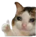 gg_kaam_done