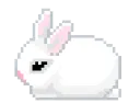 zbunnysoft