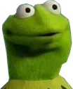 Kermit_ComeAgain_Surprised_wtf