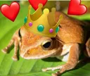 Frogsit Discord Emoji