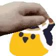 nolbpat