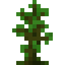 SAPLING_3 Discord emoji