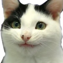 ch_polite Discord emoji