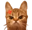 Cat Mad catmad Discord Emoji