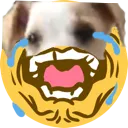 JunebugDevestatingCry Discord Emoji