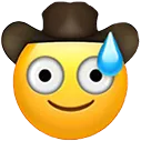 cowboy_panic cowboy_panic